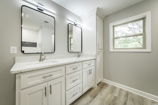 bathroom with baseboards, a sink, wood finished floors, and double vanity