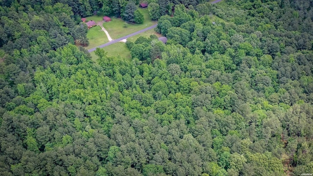 bird's eye view with a forest view