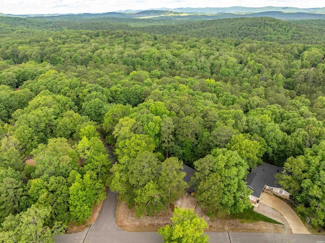 1 Vilafranca Ln, Hot Springs Village, AR 71909 - photo 39