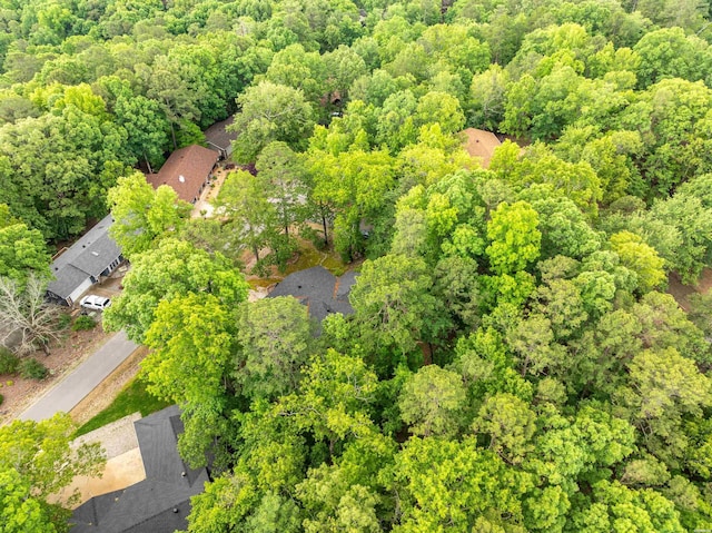 1 Vilafranca Ln, Hot Springs Village, AR 71909 - photo 42