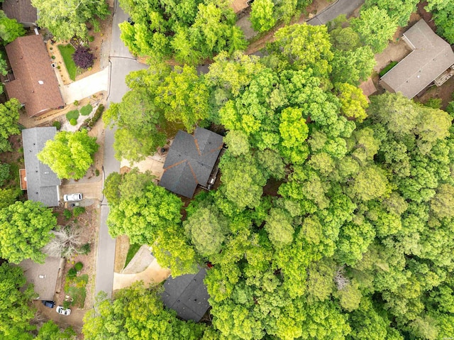 1 Vilafranca Ln, Hot Springs Village, AR 71909 - photo 43