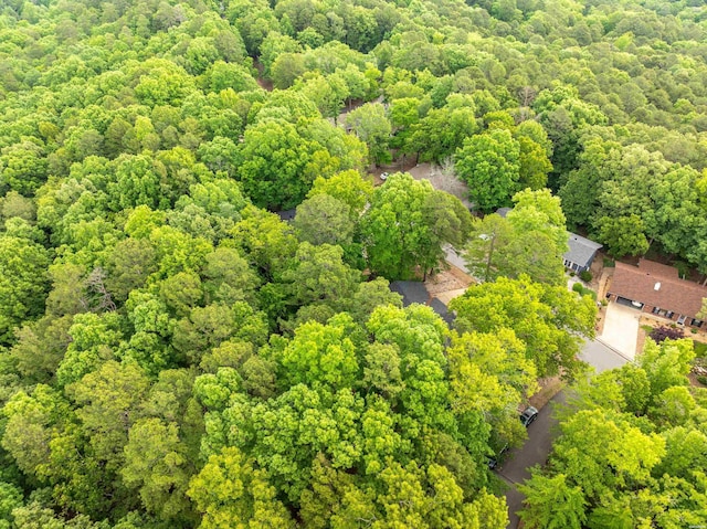1 Vilafranca Ln, Hot Springs Village, AR 71909 - photo 40