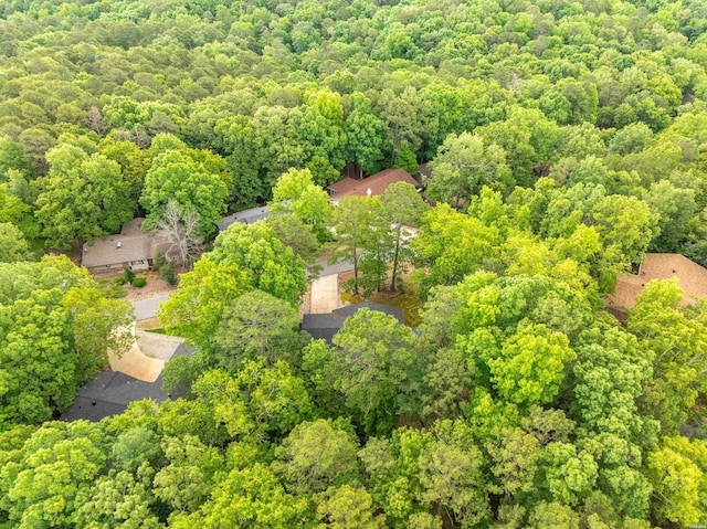 1 Vilafranca Ln, Hot Springs Village, AR 71909 - photo 41