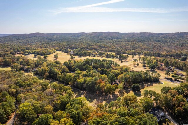 LOT2130 Diamondhead Dr, Hot Springs, AR 71913 - photo 33