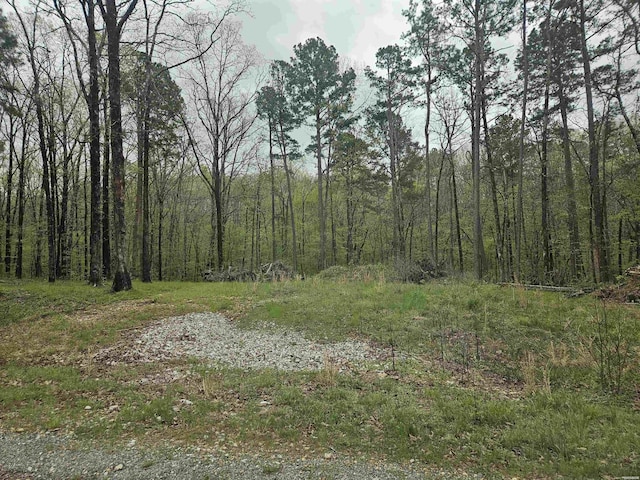 LOT2130 Diamondhead Dr, Hot Springs, AR 71913 - photo 1