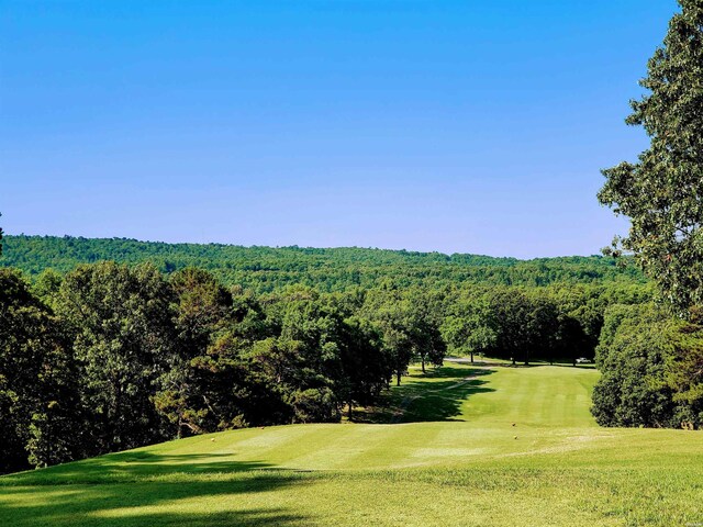 LOT2130 Diamondhead Dr, Hot Springs, AR 71913 - photo 19