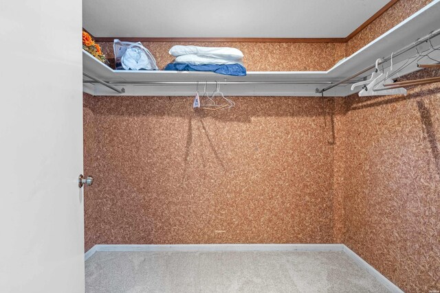 101 Long Is Unit 501, Hot Springs, AR 71913 - spacious closet with carpet