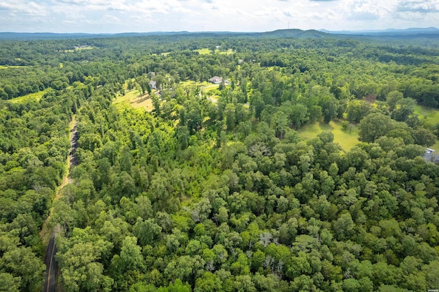 Lot1 Ridgehaven, Pearcy, AR 71964 - photo 12