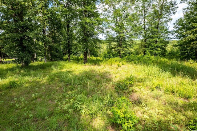 Lot1 Ridgehaven, Pearcy, AR 71964 - photo 18