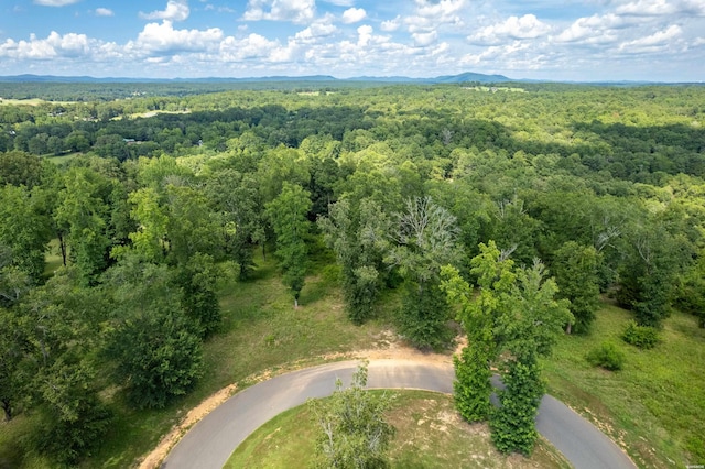 Lot1 Ridgehaven, Pearcy, AR 71964 - photo 15
