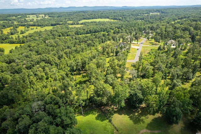 Lot1 Ridgehaven, Pearcy, AR 71964 - photo 10