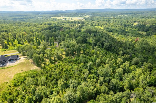 Lot1 Ridgehaven, Pearcy, AR 71964 - photo 14