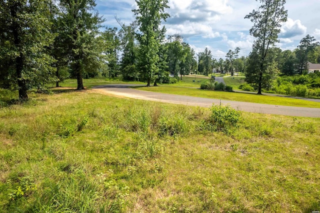 Lot1 Ridgehaven, Pearcy, AR 71964 - photo 19