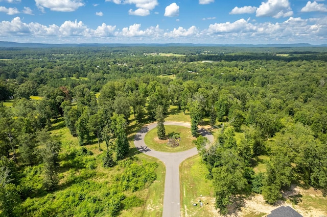 Lot1 Ridgehaven, Pearcy, AR 71964 - photo 4