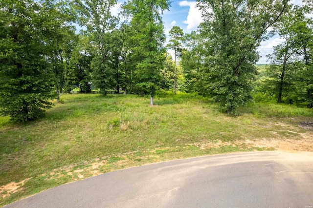 Lot1 Ridgehaven, Pearcy, AR 71964 - photo 1
