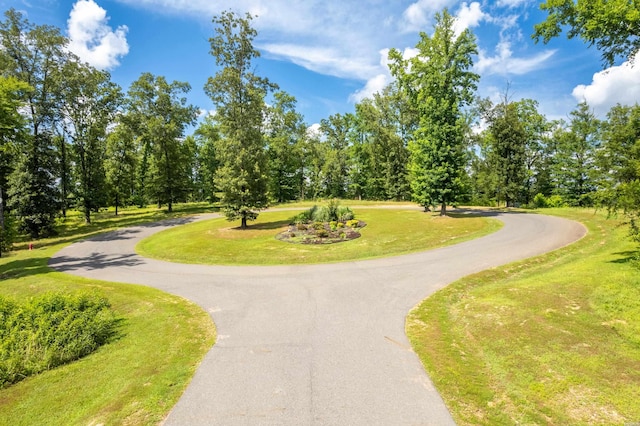 Lot1 Ridgehaven, Pearcy, AR 71964 - photo 3