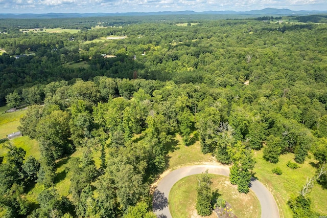 Lot1 Ridgehaven, Pearcy, AR 71964 - photo 6