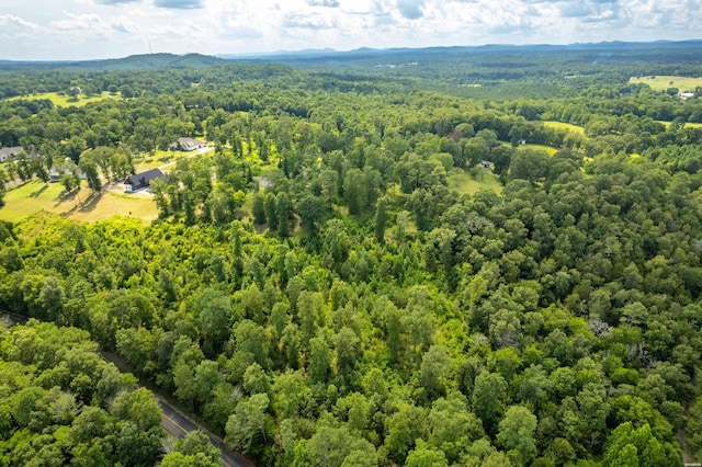 Lot1 Ridgehaven, Pearcy, AR 71964 - photo 13