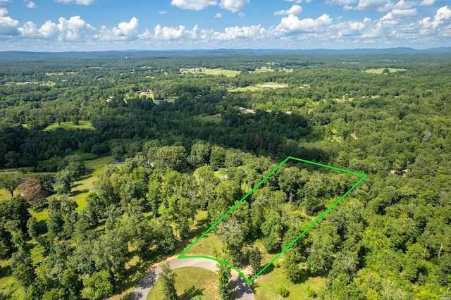 Lot1 Ridgehaven, Pearcy, AR 71964 - photo 7