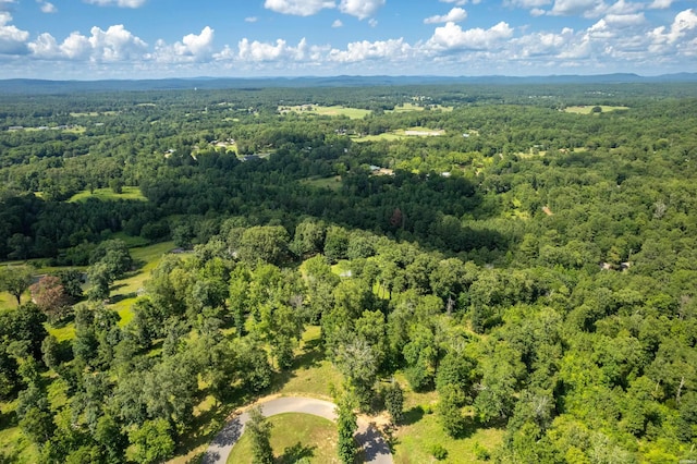 Lot1 Ridgehaven, Pearcy, AR 71964 - photo 8