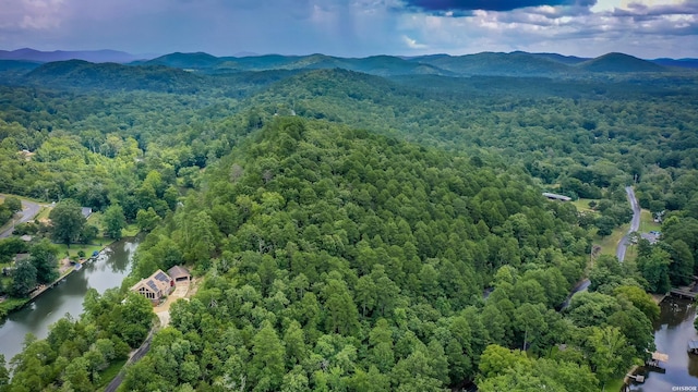 415 Gold Nugget Loop, Hot Springs, AR 71913 - bird's eye view of a heavily wooded area and a water and mountain view
