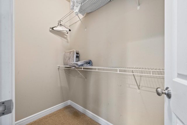 141 Central Ter Unit B, Hot Springs, AR 71913 - walk in closet featuring carpet
