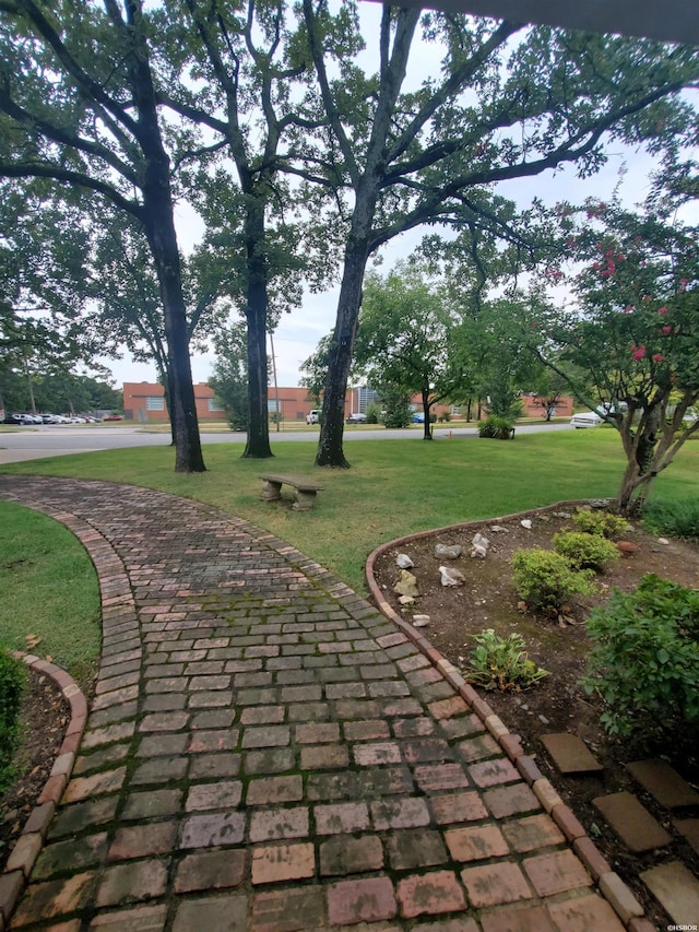 view of property's community with a lawn