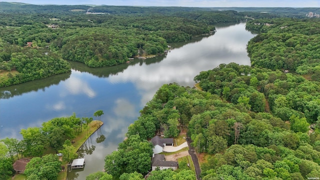 249 Springbrook Dr, Hot Springs, AR 71913 - photo 46