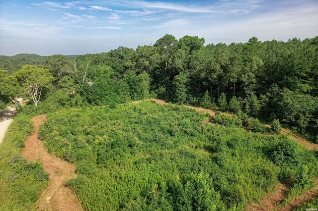 00 Broken Bow Ln, Bismarck, AR 71929 - photo 11