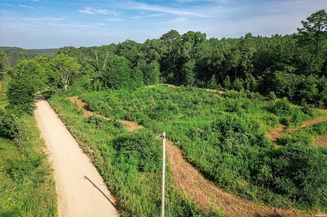 00 Broken Bow Ln, Bismarck, AR 71929 - photo 4