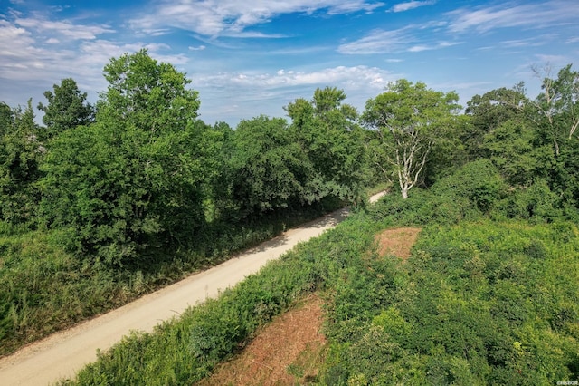 00 Broken Bow Ln, Bismarck, AR 71929 - photo 14