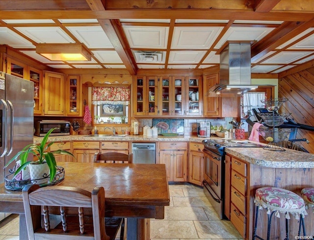 kitchen featuring stainless steel appliances, light countertops, island exhaust hood, and a sink