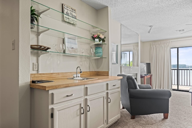 5371 Central Ave Unit 6E, Hot Springs, AR 71913 - indoor wet bar with a textured ceiling and carpet flooring