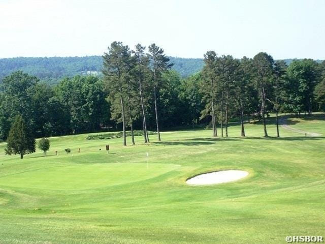 173C Pebble Beach Pl, Hot Springs, AR 71913 - view of home's community with golf course view and a yard