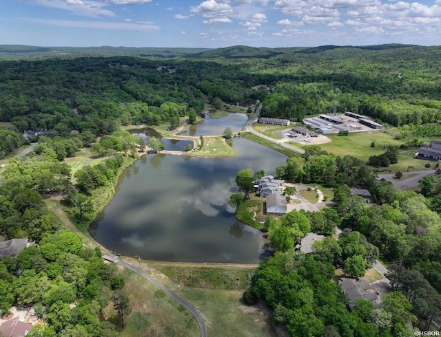 173C Pebble Beach Pl, Hot Springs, AR 71913 - aerial overview of property's location featuring a heavily wooded area and a large body of water