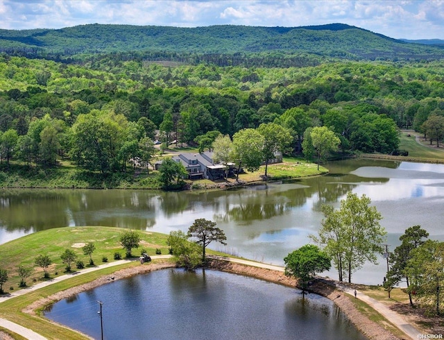 173C Pebble Beach Pl, Hot Springs, AR 71913 - drone / aerial view of a forest and a water and mountain view