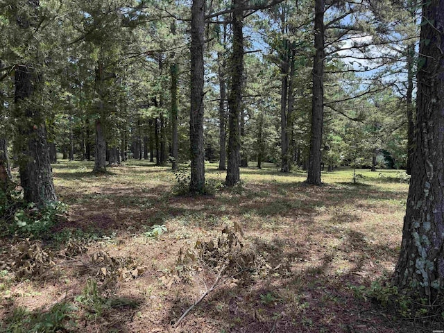 00 Fleetwood, Hot Springs, AR 71913 - photo 3