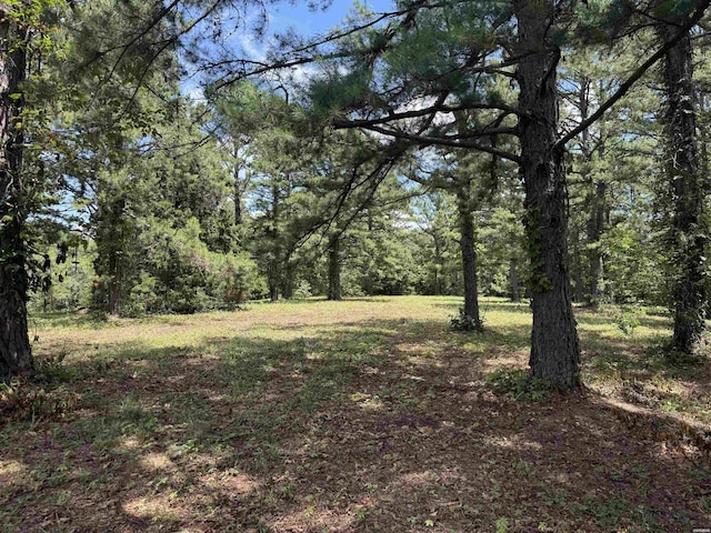 00 Fleetwood, Hot Springs, AR 71913 - photo 4