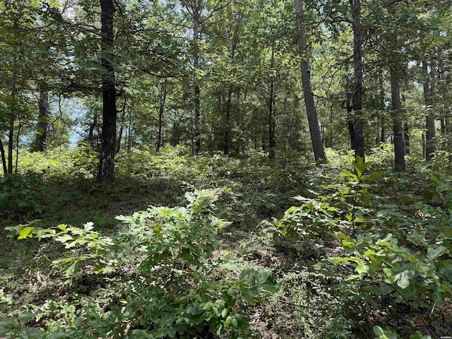 00 Fleetwood, Hot Springs, AR 71913 - photo 6