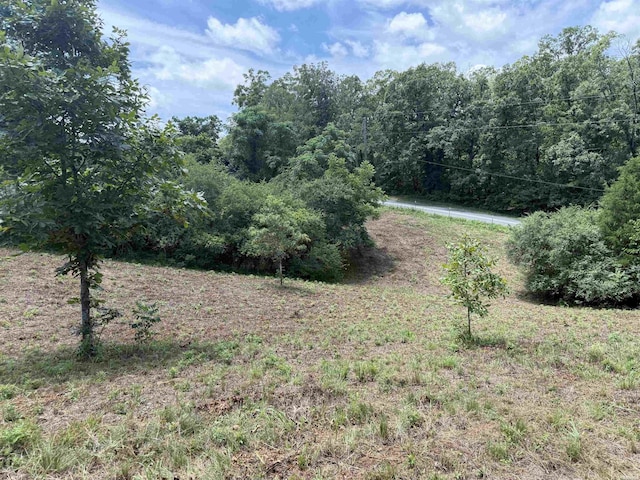 00 Fleetwood, Hot Springs, AR 71913 - photo 2