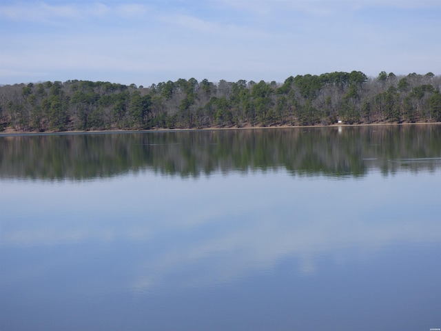 water view featuring a view of trees