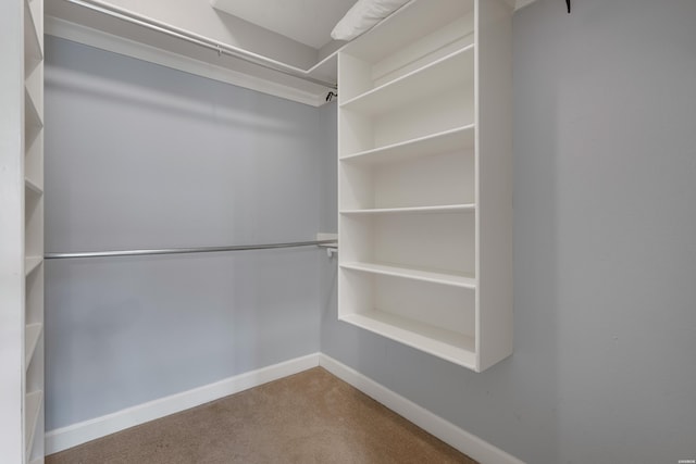 181 Fish Hatchery Rd Unit P2, Hot Springs, AR 71913 - spacious closet with carpet floors