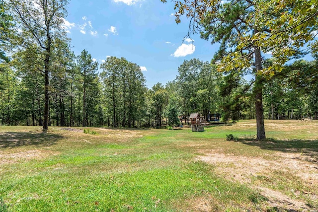 598 Timberlake Dr, Royal, AR 71968 - view of yard