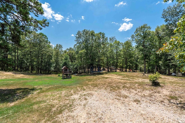 598 Timberlake Dr, Royal, AR 71968 - view of yard