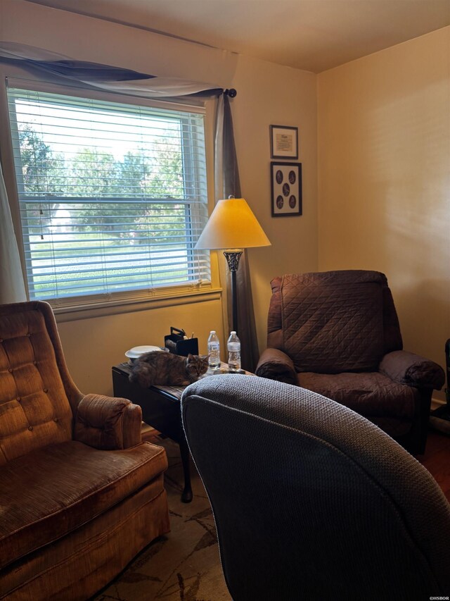 331 Lakeshore Dr, Hot Springs, AR 71913 - photo 21
