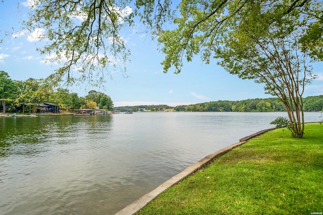 property view of water