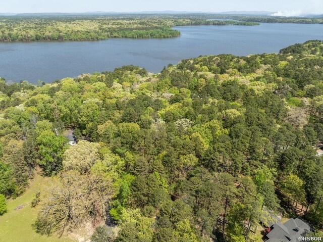 138 Silverpoint Dr Unit 14, Mount Ida, AR 71957 - photo 38