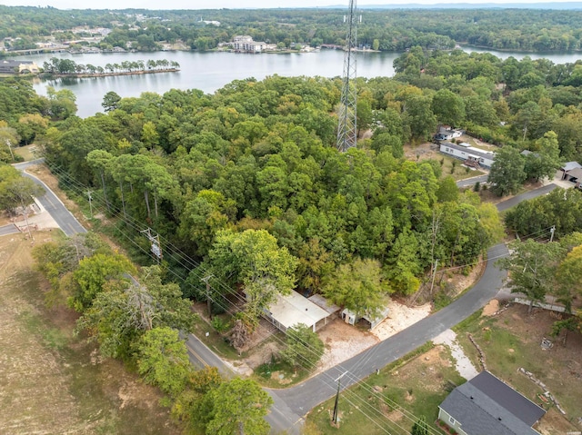 bird's eye view featuring a water view and a forest view