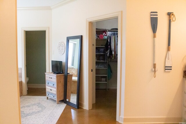 bedroom with ornamental molding, a closet, a spacious closet, and baseboards