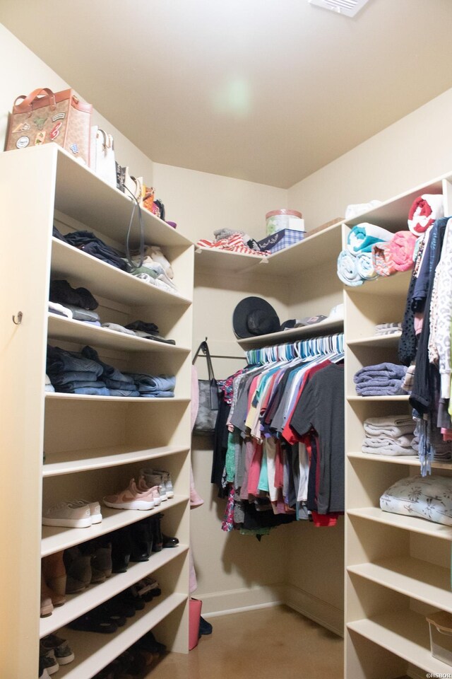 view of walk in closet